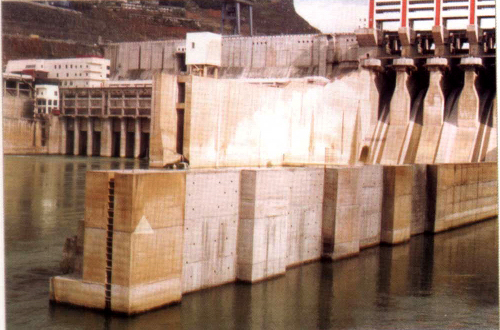 江苏神龙海洋工程-建设电站水下砼导航墙浇筑工程
